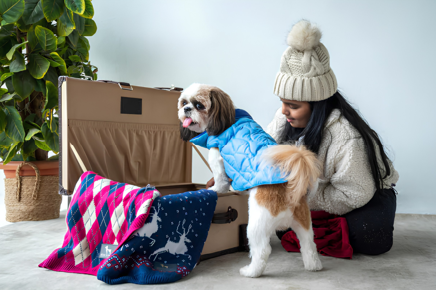 Choosing Comfortable Clothes Every Season Pet